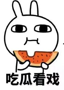 娱乐吃瓜酱工资,揭秘高薪背后的辛酸与荣耀